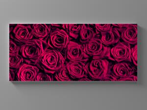 Liox Obraz červené růže Rozměr: 60 x 25 cm