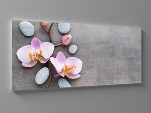 Liox Obraz orchidej na šedém pozadí Rozměr: 60 x 25 cm