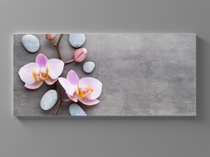 Liox Obraz orchidej na šedém pozadí Rozměr: 60 x 25 cm