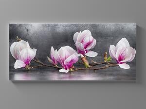 Liox Obraz magnólie na plátně Rozměr: 60 x 25 cm