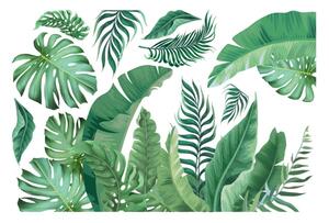Samolepka na zeď 60x90 cm Tropical Leaves – Ambiance