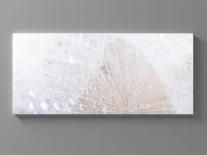 Liox Obraz kapky rosy makro Rozměr: 60 x 25 cm