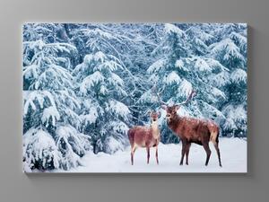 Liox Obraz jelen v zimě Rozměr: 40 x 25 cm
