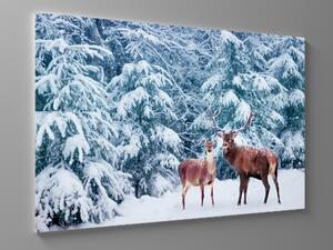 Liox Obraz jelen v zimě Rozměr: 40 x 25 cm