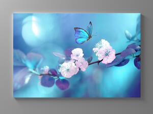 Liox Tyrkysový obraz motýl Rozměr: 60 x 40 cm