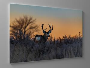 Liox Obraz jelen v západu slunce Rozměr: 40 x 25 cm