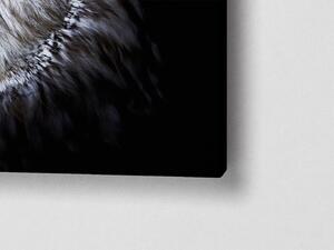 Liox Obraz sova na černém pozadí Rozměr: 60 x 40 cm