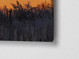 Liox Obraz jelen v západu slunce Rozměr: 40 x 25 cm