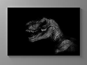 Liox Obraz tyrannosaurus rex Rozměr: 40 x 25 cm
