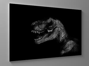 Liox Obraz tyrannosaurus rex Rozměr: 40 x 25 cm