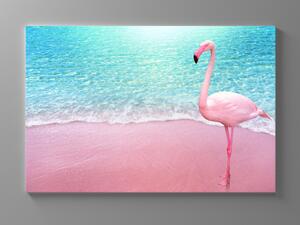 Liox Obraz plameňák na pláži Rozměr: 40 x 25 cm