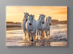 Liox Obraz běžící koně Rozměr: 40 x 25 cm
