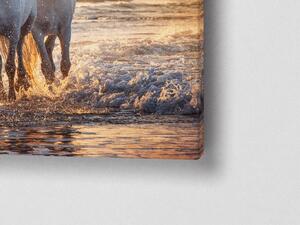 Liox Obraz běžící koně Rozměr: 40 x 25 cm