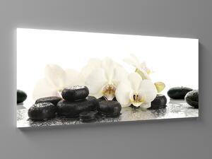 Liox Obraz bílá orchidej a kameny Rozměr: 45 x 20 cm