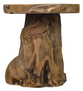 Odkládací stolek z teakového dřeva HSM collection Kruk Root