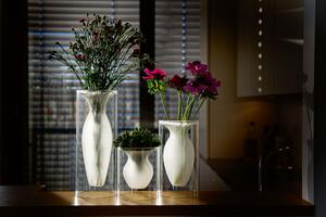 Philippi designová váza Esmeralda Rozměry: výška 15,5 cm