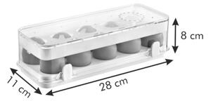 Tescoma zdravá dóza do ledničky Purity 28x11 cm 10 vajec