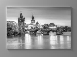Liox Černobílý obraz Praha Rozměr: 40 x 25 cm