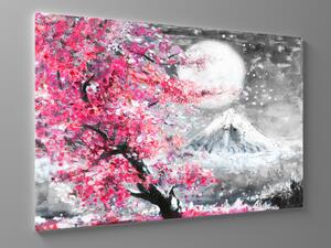 Liox Obraz malba sakury Japonsko Rozměr: 60 x 40 cm