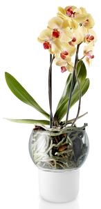 Samozavlažovací skleněný květináč na orchidej O15cm , eva solo