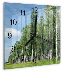 Skleněné hodiny na stěnu Břízy zskc-30x30-00177703