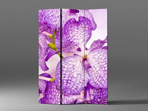 Liox Paraván fialová orchidej Rozměr: 135 x 180 cm