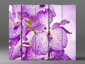 Liox Paraván fialová orchidej Rozměr: 225 x 180 cm