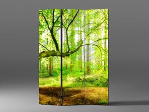 Liox Paraván les v paprscích slunce Rozměr: 135 x 180 cm