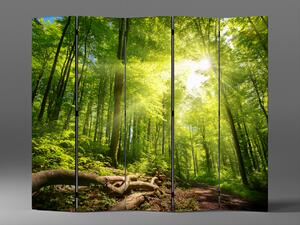 Liox Paraván kouzlo lesa Rozměr: 225 x 180 cm