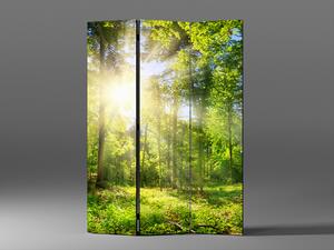Liox Paraván prosluněný les Rozměr: 135 x 180 cm