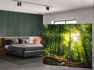 Liox Paraván kouzlo lesa Rozměr: 225 x 180 cm