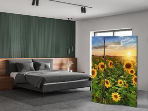 Liox Paraván slunečnicové pole Rozměr: 135 x 180 cm