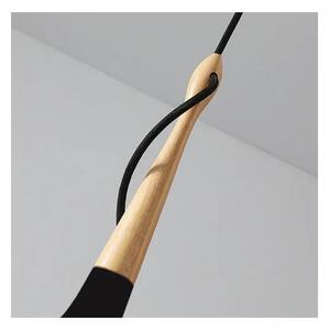 Toolight - Závěsná stropní lampa Ramus - černá - APP936-1CP