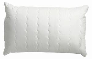 POLŠTÁŘ POD HLAVU, 40/60 cm Centa-Star - Polštáře pod hlavu, Online Only