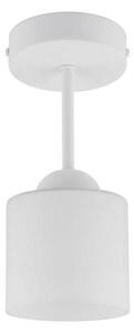 BRILAGI - LED Přisazený lustr RETRO GLASS 1xE27/60W/230V pr. 10 cm bílá