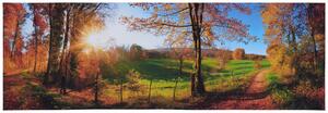 MALBA NA PLÁTNĚ, krajina a příroda, 180/60/3 cm Euroart - Obrazy na plátně