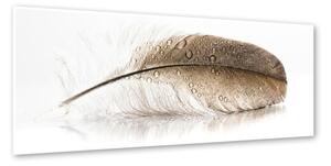 Obraz Styler Glasspik Wings, 50 x 125 cm