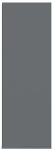 Botník Whol - šedý s vysokým leskem | 54x34x100 cm
