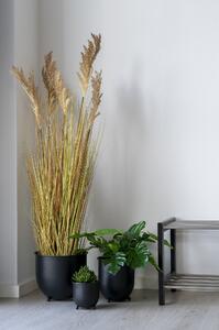 House Nordic Umělá rostlina, přírodní\nH:110 cm (Přírodní)