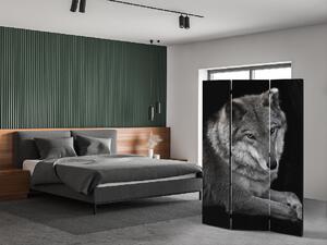 Liox Černobílý paraván vlk Rozměr: 135 x 180 cm