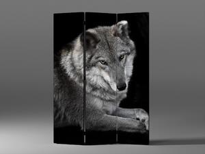 Liox Černobílý paraván vlk Rozměr: 135 x 180 cm