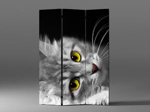 Liox Černobílý paraván kočka Rozměr: 135 x 180 cm