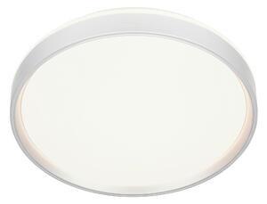 STROPNÍ LED SVÍTIDLO, 38 cm Novel - Online Only svítidla, Online Only