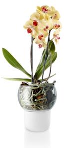 Samozavlažovací květináč na orchideje Frosted Big Eva Solo