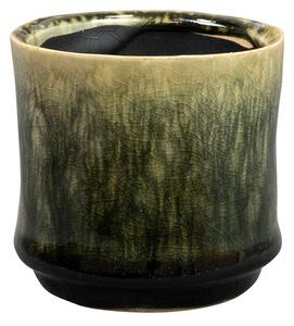 Ter Steege Obal Nolan pine D7 H7