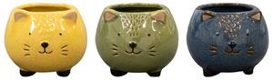 Ter Steege Obal Meow colour D9 H8, 3 barvy