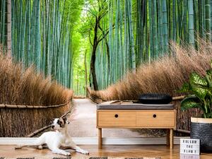 Liox Tapeta japonský bambusový les Rozměr: 150 x 94 cm