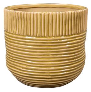 Ter Steege Obal Nona mustard D20 H18