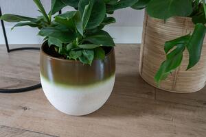 Ter Steege Obal Fem pear green D26 H24