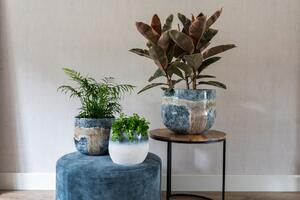 Ter Steege Obal Fem sky blue D15 H13
